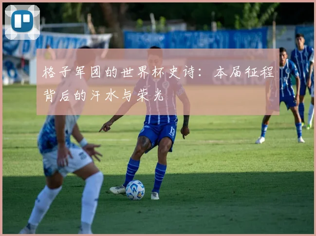格子军团的世界杯史诗:本届征程背后的汗水与荣光
