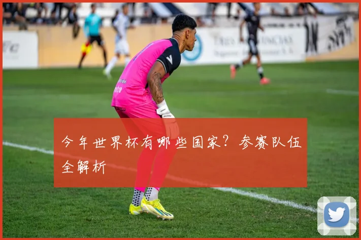 今年世界杯有哪些国家?参赛队伍全解析