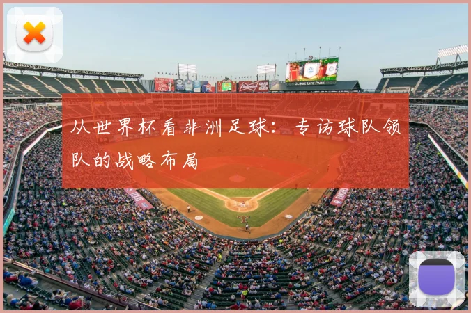 从世界杯看非洲足球：专访球队领队的战略布局