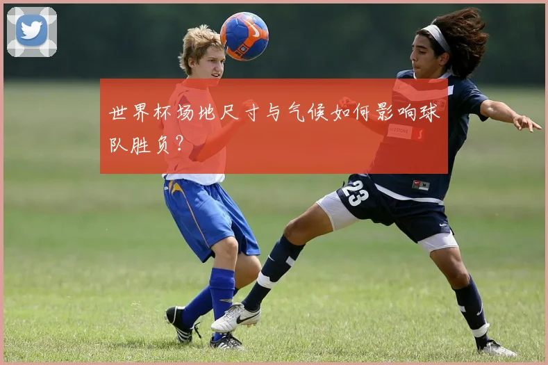 世界杯场地尺寸与气候如何影响球队胜负?